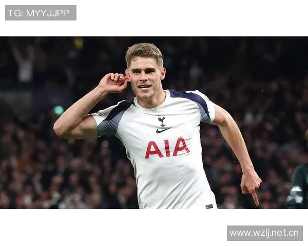 谢林汉姆称赞热刺中卫组合范德芬与罗梅罗为英超顶尖之选